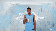 North Carolina No GIF by UNC Tar Heels