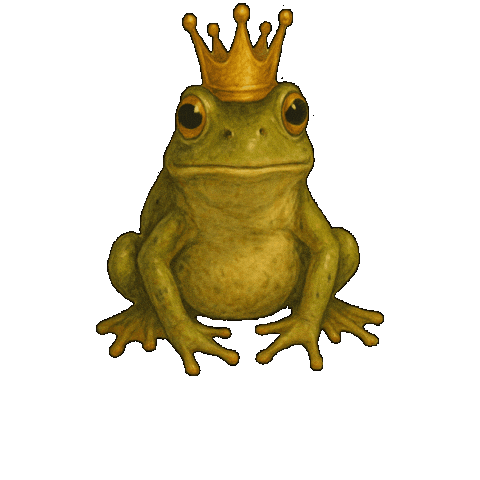 TashaZima giphygifmaker frogs zimawrites tashazima Sticker