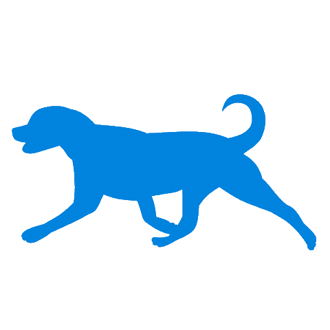 Dog Run Sticker by bluepearl pet hospital