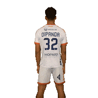 Dip Srvhb Sticker by Saint-Raphaël Var Handball