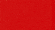 Con Mucho Acento GIF by Cruzcampo