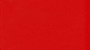 Flama GIF by Cruzcampo