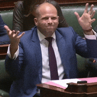 de_nva theo twijfel mwa handen GIF