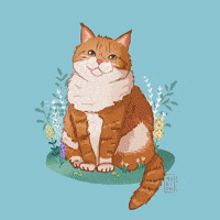 Cat Pet GIF