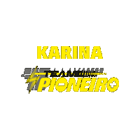 Karina Sticker by Baterias Pioneiro