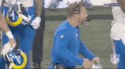 Los Angeles Rams Football GIF by NFL