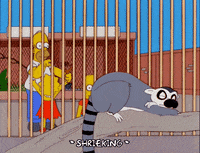 homer simpson GIF
