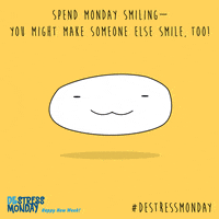 Smile GIF by DeStress Monday