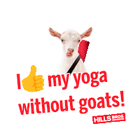 hillsbroscoffee coffee good morning morning tired Sticker