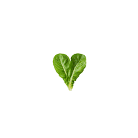 heart love Sticker by Maxi