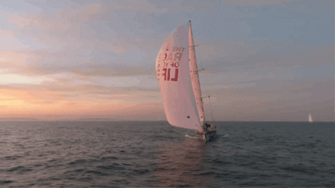 Sunset Sailing GIF by Clipper Round the World Yacht Race