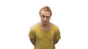 lifelion dance like nice swipe up Sticker