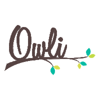 Guru Owli Sticker by bebekform