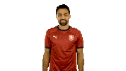 Dont Know Ceskarepre Sticker by 2score