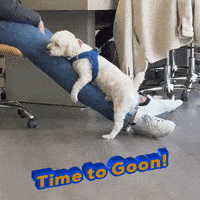 Gooning GIF by Respective