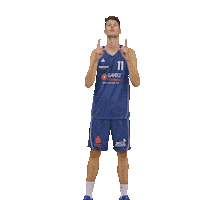 Bensheim Sticker by VfL Basketball