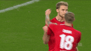 1 Fc Cologne Football GIF by 1. FC Köln