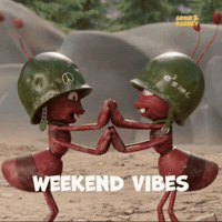 Freedom Ready To Go Out GIF by S100Int