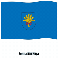 Flag Spain GIF by Formación Ninja