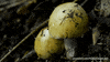 GIF by KQEDScience