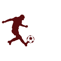 Sport Soccer Sticker by Colégio Américo Melo