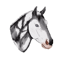 Horse Sticker