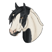 Elegna cheval elegnadessins irishcob Sticker