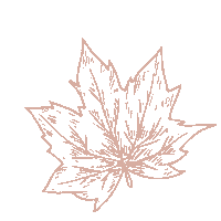 anandaskin maple ananda anandaskin ananda skin Sticker