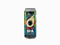 BiereMeteor party friends omg beer GIF