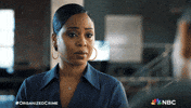 Season 5 Nbc GIF by Law & Order