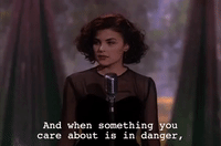 Season 2 Episode 21 GIF by Twin Peaks on Showtime