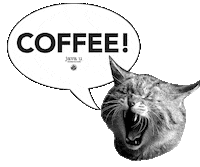cat coffee Sticker by JavaUOfficial