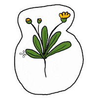 Gardening Garten Sticker by scholzydesign