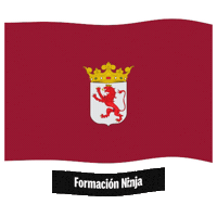 Castilla Y Leon Flag Sticker by Formación Ninja
