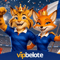 France Football GIF by Casualino JSC