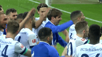 Happy Dance GIF by FC Schalke 04