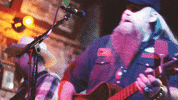 country music GIF by Gethen Jenkins
