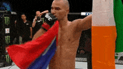 happy ufc 202 GIF