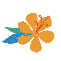 Hawaii Aloha Sticker by dolkii