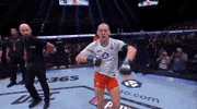 Mixed Martial Arts Dancing GIF by UFC