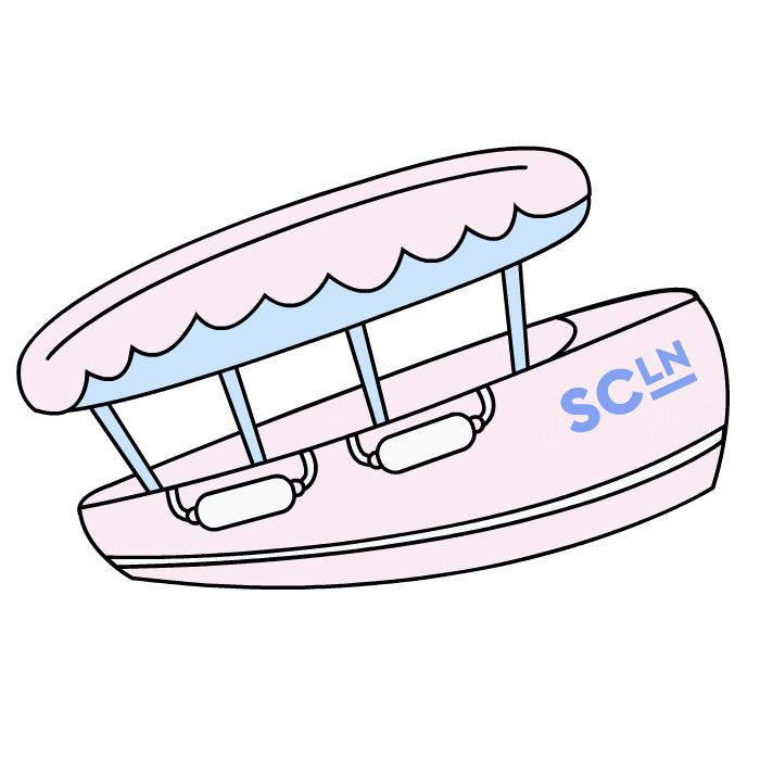 Sclnb Sticker by Stoney Clover Lane