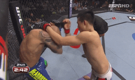 giphy.gif