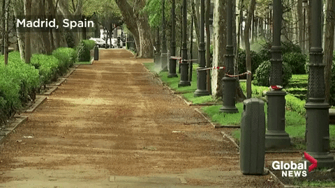 Madrid Spain GIF