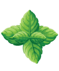 Organic Sticker by Sweet Leaf Tea