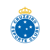 cruzeiro futebol Sticker by Cruzeiro Esporte Clube