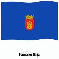 Castilla Y Leon Bandera GIF by Formación Ninja