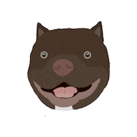 Dog Pet Sticker