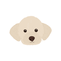 Dog Poodle Sticker