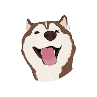 Dog Pet Sticker