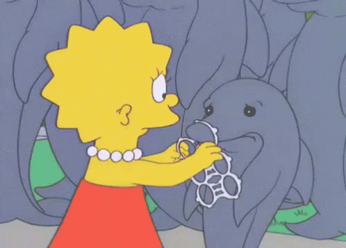 Dolphin GIF by MOODMAN
